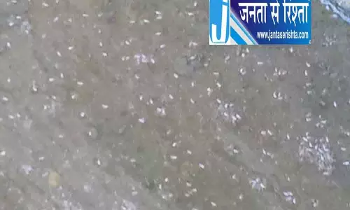 24 लाख के घोटाले का खुलासा, 6 अधिकारियों समेत 9 पर केस दर्ज 24 लाख के घोटाले का खुलासा, 6 अधिकारियों समेत 9 पर केस दर्ज