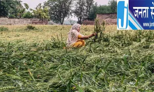 आसमान से बरसी आफत, किसानों की फसलों को नुकसान