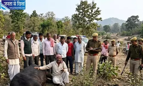 जंगल में विस्फोटक गोला फटने से भैंस की दर्दनाक मौत, पशुपालक को नुकसान जंगल में विस्फोटक गोला फटने से भैंस की दर्दनाक मौत, पशुपालक को नुकसान