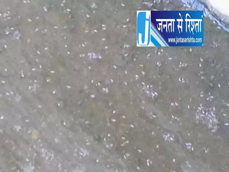 24 लाख के घोटाले का खुलासा, 6 अधिकारियों समेत 9 पर केस दर्ज 24 लाख के घोटाले का खुलासा, 6 अधिकारियों समेत 9 पर केस दर्ज