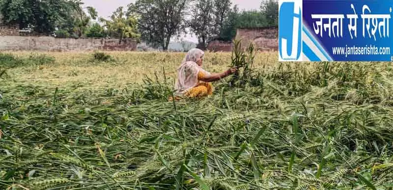 आसमान से बरसी आफत, किसानों की फसलों को नुकसान आसमान से बरसी आफत, किसानों की फसलों को नुकसान