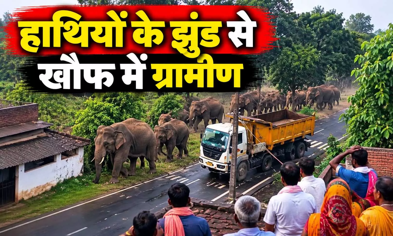 छत्तीसगढ़ से पहुंचे हाथियों का डेरा, 24 गांवों की नींद उड़ी, वन विभाग अलर्ट छत्तीसगढ़ से पहुंचे हाथियों का डेरा, 24 गांवों की नींद उड़ी, वन विभाग अलर्ट