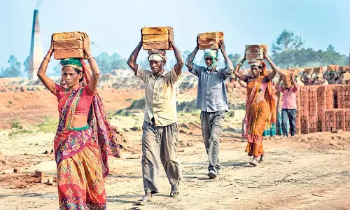 बिना गिनती और बिना सुरक्षा — भारत के मौसमी प्रवासी और डिजिटल जनगणना