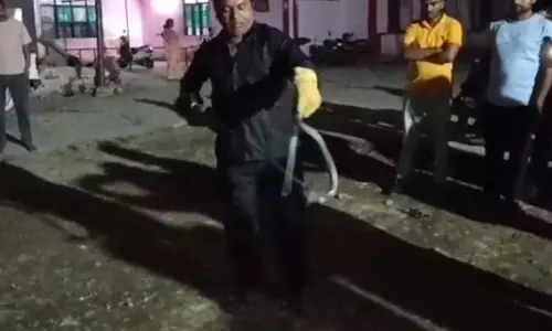 सांप पकड़ने वाले स्नेक मास्टर को कोबरा ने डसा, हालत गंभीर, इलाके में मचा हड़कंप सांप पकड़ने वाले स्नेक मास्टर को कोबरा ने डसा, हालत गंभीर, इलाके में मचा हड़कंप