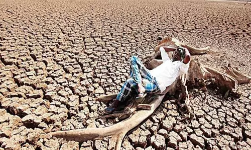 सूखे ने छीनी किसान की उम्मीदें, पट्टे पर जमीन लेकर बोई धान की फसल बर्बाद