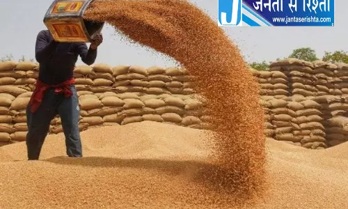 पंजाब सरकार की गेहूं बीज सब्सिडी योजना, किसानों के लिए 50 करोड़ रुपये का बजट पंजाब सरकार की गेहूं बीज सब्सिडी योजना, किसानों के लिए 50 करोड़ रुपये का बजट