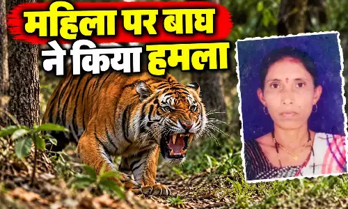 पति खेत में दे रहा था पानी और इधर बाघ ने ले ली पत्नी की जान...इस घटना ने सबको झकझोर दिया!
