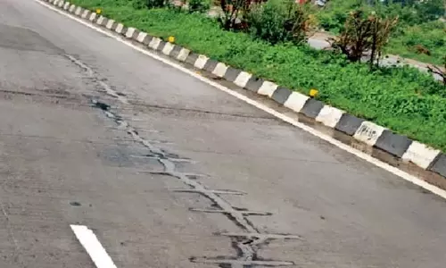 वाराणसी-गाजीपुर हाईवे पर मौत का खतरा, सड़क पर पड़े मिले मृत पशु
