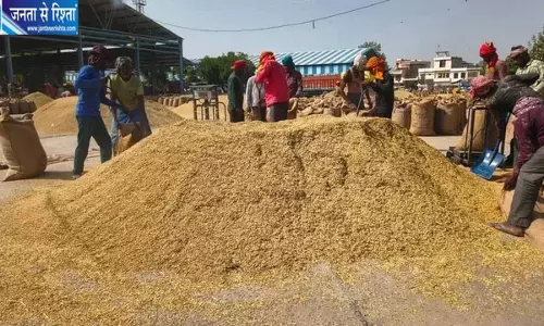 हरियाणा में धान खरीद ने पकड़ी रफ्तार, मंडियों में पहुंचा 37.27 लाख टन धान हरियाणा में धान खरीद ने पकड़ी रफ्तार, मंडियों में पहुंचा 37.27 लाख टन धान