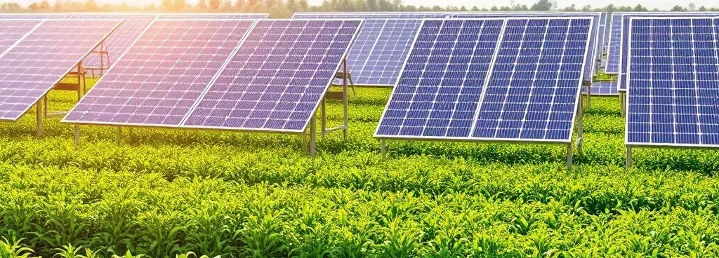 जलवायु-सुरक्षित भविष्य: यूएनईपी ने उत्सर्जन में कटौती और लचीले शहरों का आग्रह किया जलवायु-सुरक्षित भविष्य: यूएनईपी ने उत्सर्जन में कटौती और लचीले शहरों का आग्रह किया