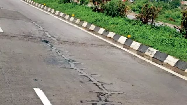 वाराणसी-गाजीपुर हाईवे पर मौत का खतरा, सड़क पर पड़े मिले मृत पशु वाराणसी-गाजीपुर हाईवे पर मौत का खतरा, सड़क पर पड़े मिले मृत पशु