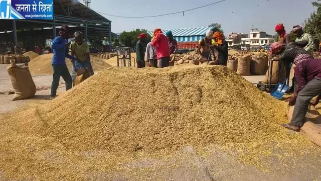 हरियाणा में धान खरीद ने पकड़ी रफ्तार, मंडियों में पहुंचा 37.27 लाख टन धान हरियाणा में धान खरीद ने पकड़ी रफ्तार, मंडियों में पहुंचा 37.27 लाख टन धान