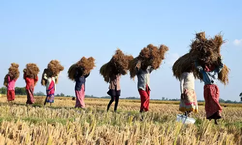 धान बेचने वाले किसानों को बड़ी खुशखबरी, अब प्रति क्विंटल मिलेंगे 2550 रुपये