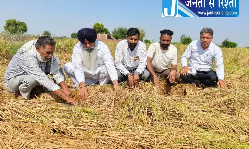 ओलावृष्टि से सिरसा में फसलें चौपट, किसानों ने सरकार से मांगा मुआवजा ओलावृष्टि से सिरसा में फसलें चौपट, किसानों ने सरकार से मांगा मुआवजा