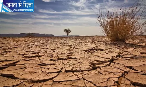 गुजरात के 4 जिले सूखाग्रस्त घोषित, किसानों को मिलेगा 17 हजार रुपये तक मुआवजा गुजरात के 4 जिले सूखाग्रस्त घोषित, किसानों को मिलेगा 17 हजार रुपये तक मुआवजा