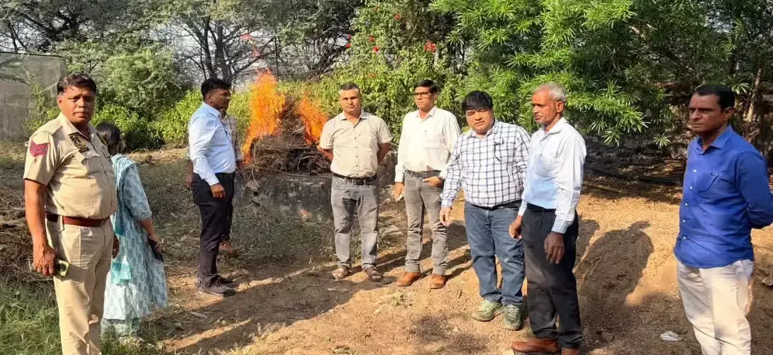 एमएनआईटी में आठ माह के तेंदुए के शावक का शव मिलने से सनसनी एमएनआईटी में आठ माह के तेंदुए के शावक का शव मिलने से सनसनी