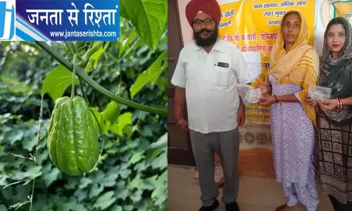 पोषण वाटिका से मजबूत होगी परिवार की सेहत, पुंडरी में 40 महिलाओं को मिला प्रशिक्षण पोषण वाटिका से मजबूत होगी परिवार की सेहत, पुंडरी में 40 महिलाओं को मिला प्रशिक्षण