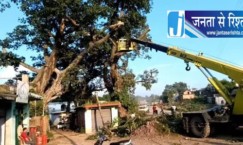 हिमाचल की कांगड़ा घाटी में घट रही हरियाली, प्राकृतिक ठंडक देने वाले पेड़ों पर संकट हिमाचल की कांगड़ा घाटी में घट रही हरियाली, प्राकृतिक ठंडक देने वाले पेड़ों पर संकट