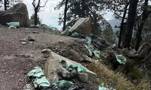 उहल नदी में मिला माइक्रोप्लास्टिक, हिमाचल के पर्यावरण संरक्षण पर उठे सवाल