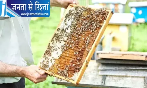 हरियाणा के मधुमक्खी पालकों को बड़ी सौगात, मुख्यमंत्री बागवानी बीमा योजना में किया शामिल हरियाणा के मधुमक्खी पालकों को बड़ी सौगात, मुख्यमंत्री बागवानी बीमा योजना में किया शामिल