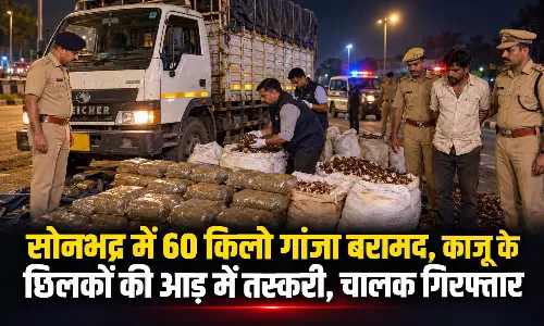 सोनभद्र में 60 किलो गांजा बरामद, काजू के छिलकों की आड़ में तस्करी, चालक गिरफ्तार सोनभद्र में 60 किलो गांजा बरामद, काजू के छिलकों की आड़ में तस्करी, चालक गिरफ्तार
