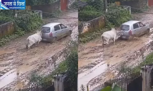 कीचड़ में फंसी कार को बैल ने लगाया धक्का, अनोखा नजारा देख लोग हैरान, वीडियो वायरल कीचड़ में फंसी कार को बैल ने लगाया धक्का, अनोखा नजारा देख लोग हैरान, वीडियो वायरल