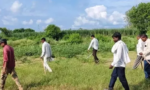 यूपी के 30 गांवों में बाघ और तेंदुए की दहशत, 25 हजार लोगों की जान पर मंडराया खतरा यूपी के 30 गांवों में बाघ और तेंदुए की दहशत, 25 हजार लोगों की जान पर मंडराया खतरा