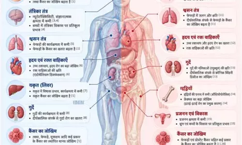 धान के खेतों में दोहरी मुसीबत: आर्सेनिक और कैडमियम एक साथ, इनसे कैसे निपटें किसान