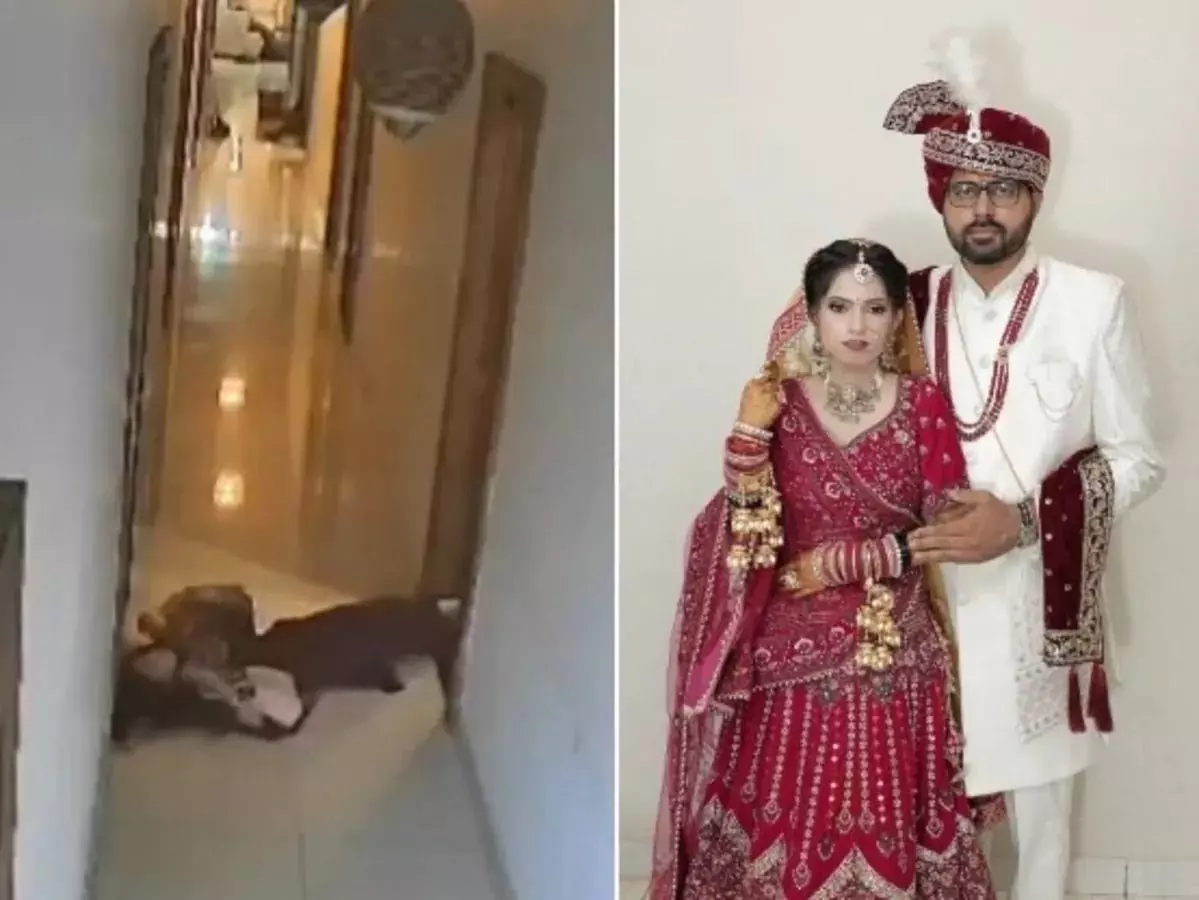होटल के कमरे में गई और 5 सेकेंड में गिर पड़ी पत्नी, CCTV में कैद मौत का मंजर होटल के कमरे में गई और 5 सेकेंड में गिर पड़ी पत्नी, CCTV में कैद मौत का मंजर