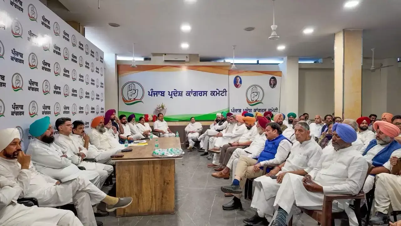 संगठन को मजबूत कर फील्ड में सक्रिय होगी कांग्रेस: वेणुगोपाल संगठन को मजबूत कर फील्ड में सक्रिय होगी कांग्रेस: वेणुगोपाल