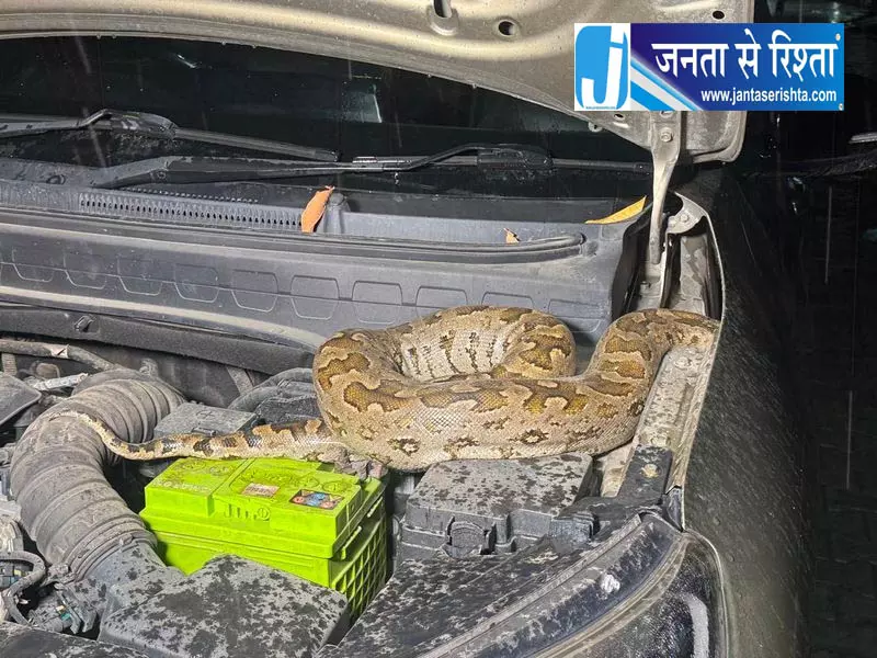 अंबाला में कार से निकला 8 फुट लंबा अजगर, रेस्क्यू कर सुरक्षित बचाया गया अंबाला में कार से निकला 8 फुट लंबा अजगर, रेस्क्यू कर सुरक्षित बचाया गया