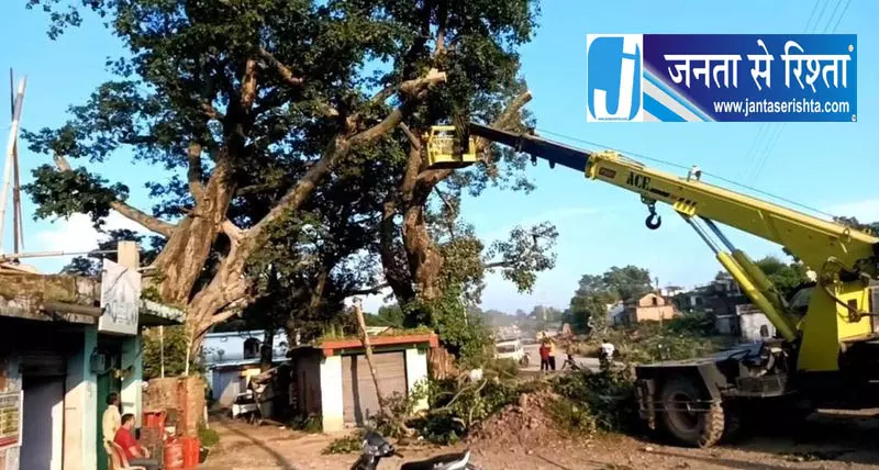 हिमाचल की कांगड़ा घाटी में घट रही हरियाली, प्राकृतिक ठंडक देने वाले पेड़ों पर संकट हिमाचल की कांगड़ा घाटी में घट रही हरियाली, प्राकृतिक ठंडक देने वाले पेड़ों पर संकट
