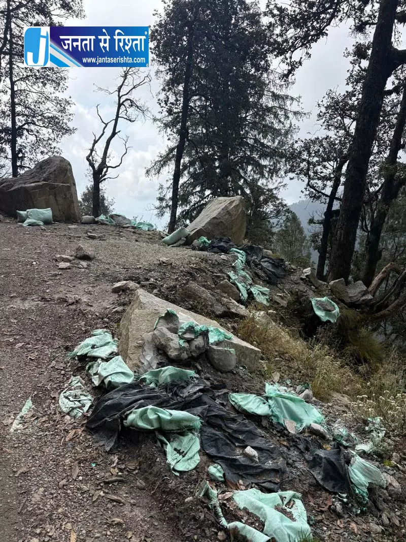 उहल नदी में मिला माइक्रोप्लास्टिक, हिमाचल के पर्यावरण संरक्षण पर उठे सवाल उहल नदी में मिला माइक्रोप्लास्टिक, हिमाचल के पर्यावरण संरक्षण पर उठे सवाल