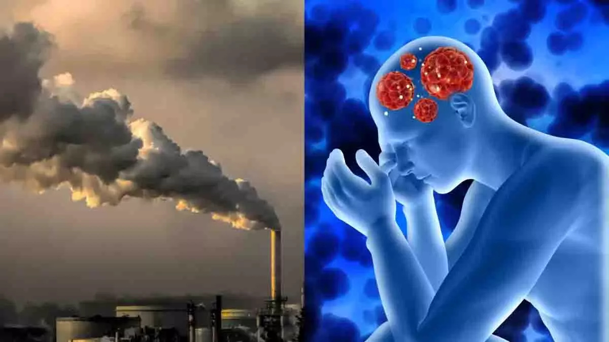 जहरीली हवा से फेफड़े ही नहीं, दिल-दिमाग को भी खतरा जहरीली हवा से फेफड़े ही नहीं, दिल-दिमाग को भी खतरा