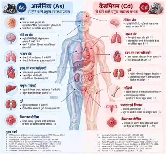 धान के खेतों में दोहरी मुसीबत: आर्सेनिक और कैडमियम एक साथ, इनसे कैसे निपटें किसान धान के खेतों में दोहरी मुसीबत: आर्सेनिक और कैडमियम एक साथ, इनसे कैसे निपटें किसान
