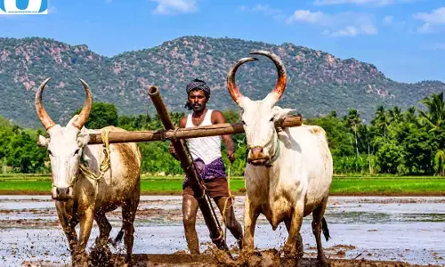 छत्तीसगढ़ में किसानों की बल्ले-बल्ले! 360 नए खरीदी केंद्र, 76 हजार हेक्टेयर भूमि को मिलेगा सिंचाई का लाभ; जानें सरकार की तैयारी छत्तीसगढ़ में किसानों की बल्ले-बल्ले! 360 नए खरीदी केंद्र, 76 हजार हेक्टेयर भूमि को मिलेगा सिंचाई का लाभ; जानें सरकार की तैयारी