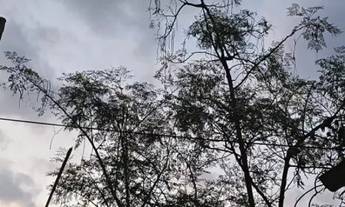 चक्रवात ‘अर्नब’ का झारखंड में असर, कई जिलों में भारी बारिश का अलर्ट, रांची-लोहरदगा में दो दिन स्कूल बंद