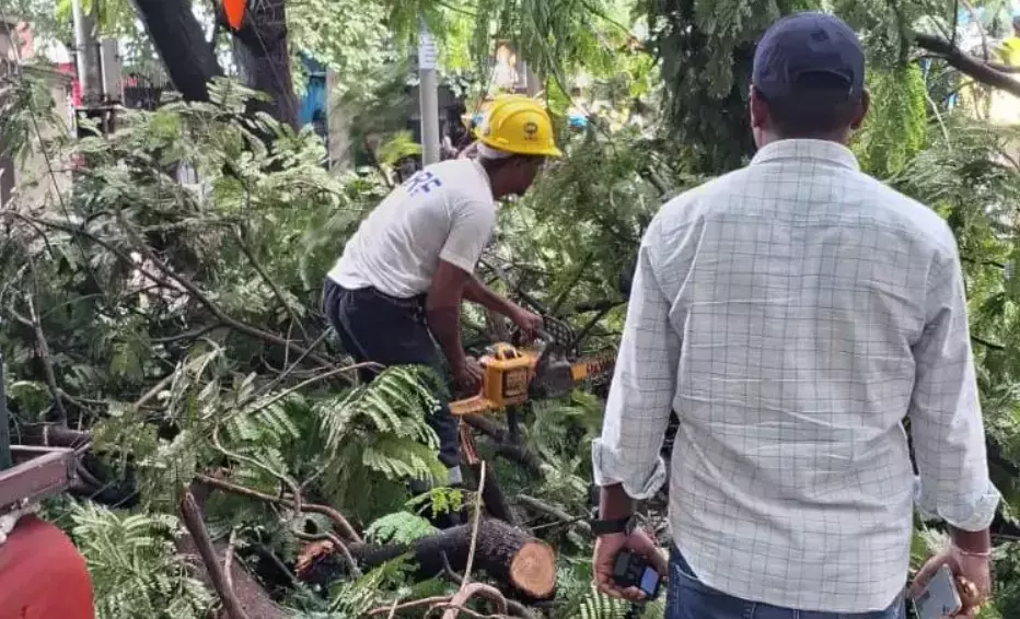 चक्रवात अर्नब: एपी में पेड़ उखड़ गए, सड़कों पर पानी भर गया चक्रवात अर्नब: एपी में पेड़ उखड़ गए, सड़कों पर पानी भर गया