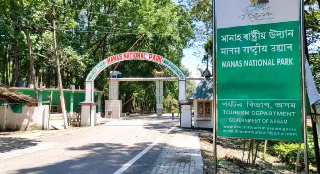 असम में वन अधिकारियों का फेरबदल, कदम सुहास ताराचंद बने मानस के उप निदेशक असम में वन अधिकारियों का फेरबदल, कदम सुहास ताराचंद बने मानस के उप निदेशक