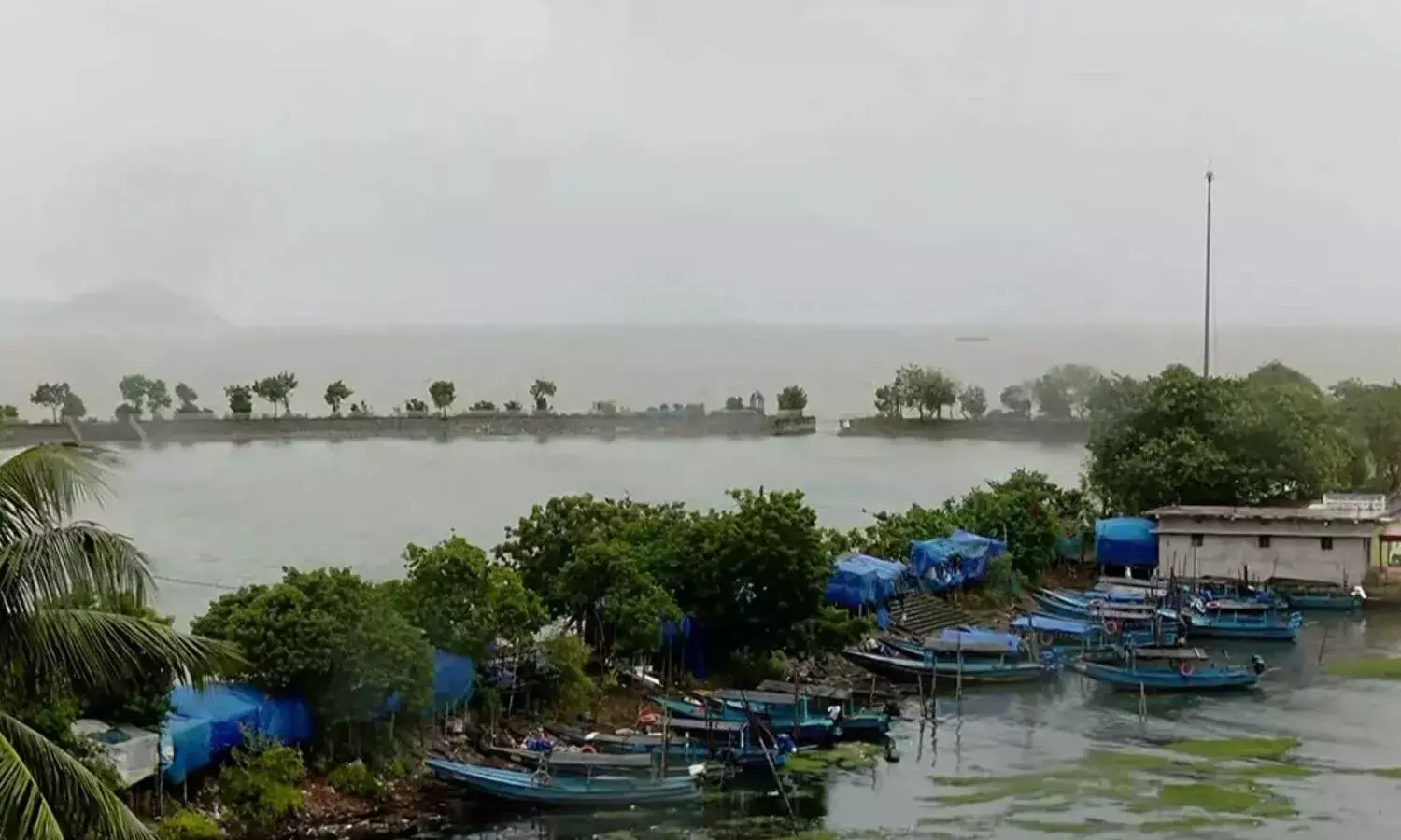 APSDMA के अनुसार, चक्रवात अर्नब के एक घंटे के भीतर तट से टकराने की संभावना है APSDMA के अनुसार, चक्रवात अर्नब के एक घंटे के भीतर तट से टकराने की संभावना है