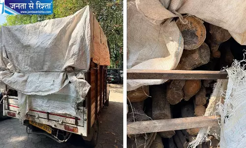 इंदौर में लकड़ी तस्करी पर वन विभाग का बड़ा एक्शन