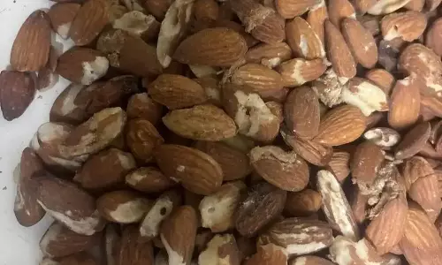 मिठाइयों के लिए मंगवाए गए 1400 किलो खराब बादाम पकड़े गए