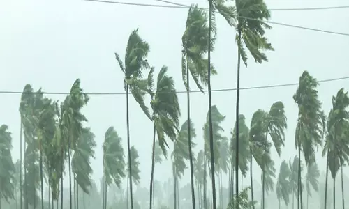 चक्रवात अर्नब को लेकर IMD का ताजा अलर्ट