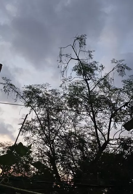 चक्रवात ‘अर्नब’ का झारखंड में असर, कई जिलों में भारी बारिश का अलर्ट, रांची-लोहरदगा में दो दिन स्कूल बंद चक्रवात ‘अर्नब’ का झारखंड में असर, कई जिलों में भारी बारिश का अलर्ट, रांची-लोहरदगा में दो दिन स्कूल बंद