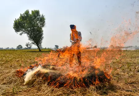 पंजाब: पराली जलाने की 700 से ज्यादा घटनाएं आईं सामने, 24 एफआईआर दर्ज पंजाब: पराली जलाने की 700 से ज्यादा घटनाएं आईं सामने, 24 एफआईआर दर्ज
