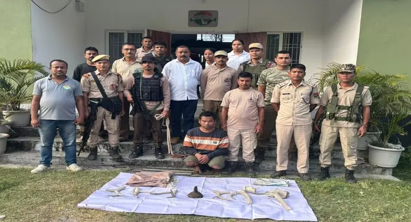 गोहपुर में बड़ी कार्रवाई: संदिग्ध गैंडे और हिरण के सींग बरामद गोहपुर में बड़ी कार्रवाई: संदिग्ध गैंडे और हिरण के सींग बरामद