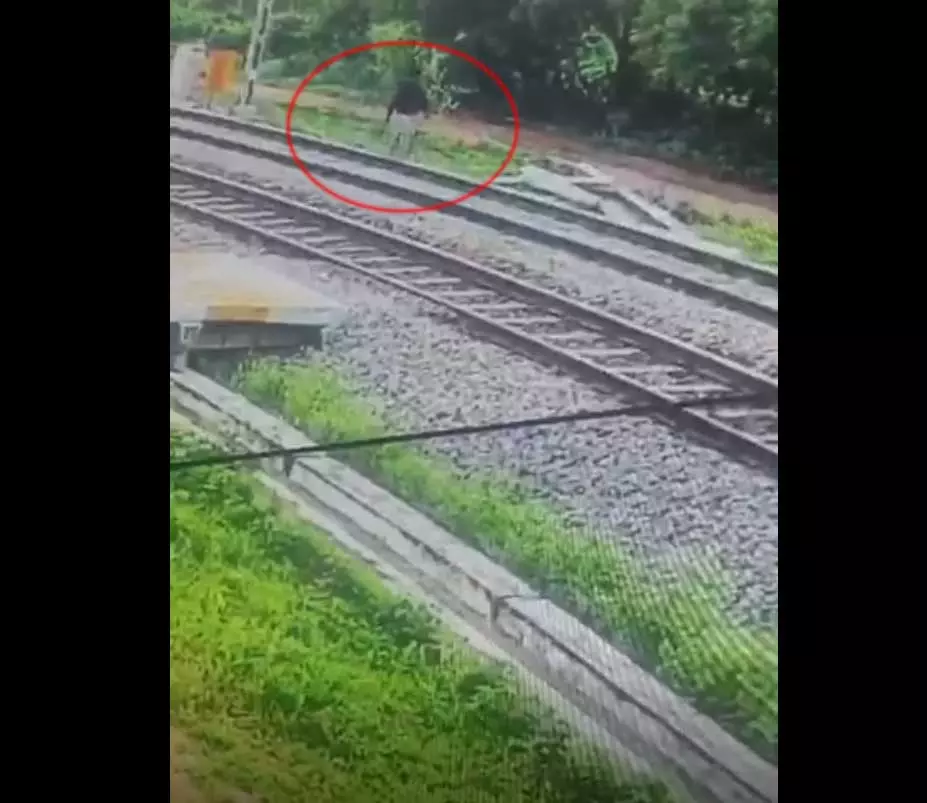 LIVE वीडियो! रेलवे ट्रैक के पास ईयरफोन लगाकर चलना पड़ा भारी, ट्रेन की चपेट में आने से युवक की मौत LIVE वीडियो! रेलवे ट्रैक के पास ईयरफोन लगाकर चलना पड़ा भारी, ट्रेन की चपेट में आने से युवक की मौत