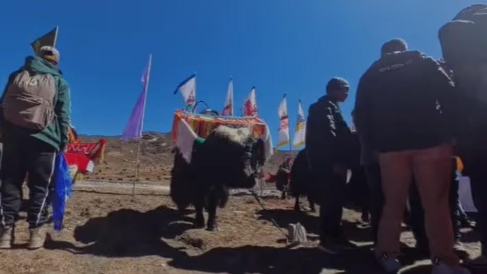 चीन बॉर्डर के करीब सिक्किम का पहला हिमालयी याक उत्सव चीन बॉर्डर के करीब सिक्किम का पहला हिमालयी याक उत्सव