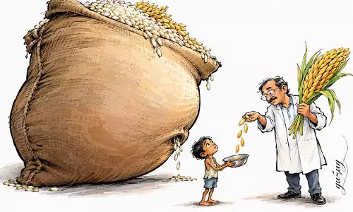 कुपोषण से लड़ने का एक प्रभावी हथियार: बायोफोर्टिफिकेशन कुपोषण से लड़ने का एक प्रभावी हथियार: बायोफोर्टिफिकेशन