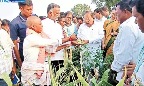 सूखे ने उजाड़ दी किसान की खुशियां, कर्ज चुकाने के लिए बेचना पड़ा 6 लाख का सोना